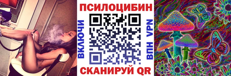 ссылка на мегу сайт  shop наркотические препараты  Псилоцибиновые грибы MAGIC MUSHROOMS  наркошоп  Катайск 